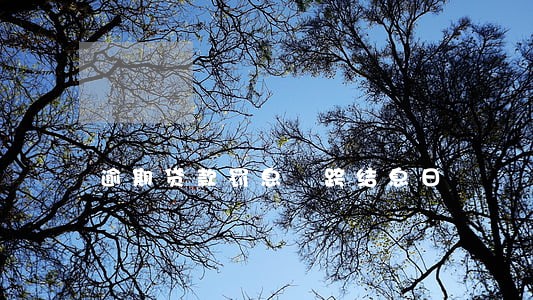 逾期贷款罚息 跨结息日 逾期贷款罚息 跨结息日